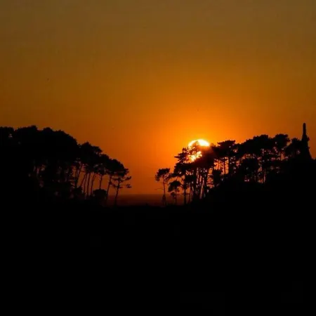 アパート Inmejorables Vistas A Islas Cies Vut-po-00638